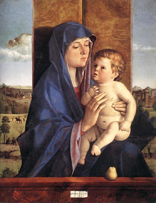 BELLINI, Giovanni Madonna and Child  257 Norge oil painting art